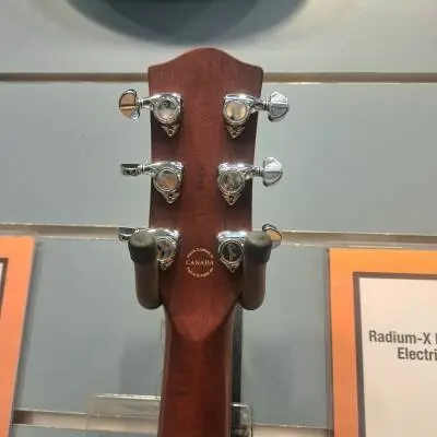 Godin Radium X 2